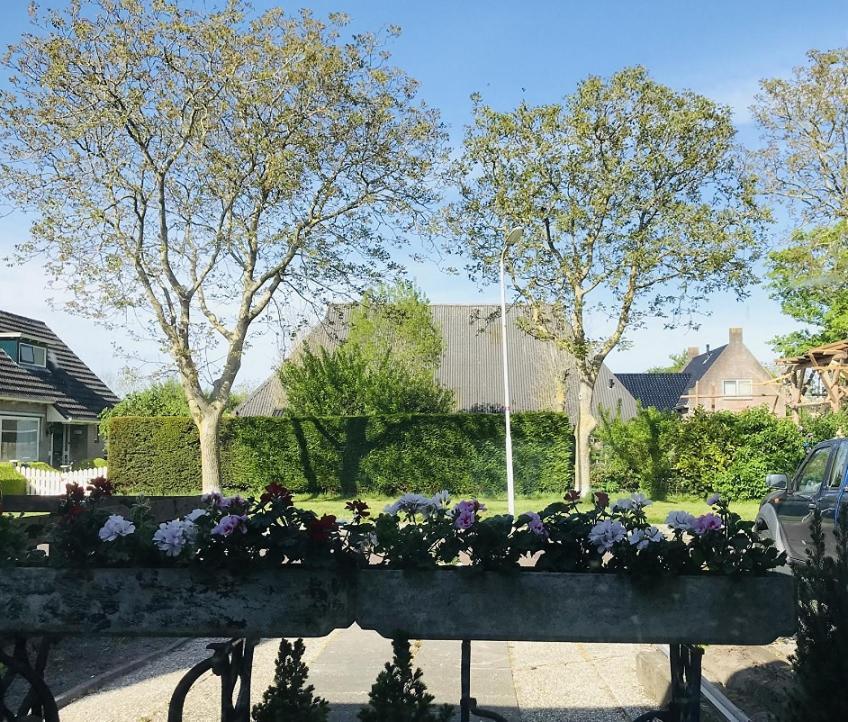 Bed and Breakfast De Fryske Wyn Ferwerd Esterno foto